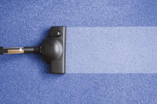 Tacoma Carpet Cleaning: Remove Stains, Odors, and Allergens with Ease